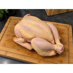 Poulet - 26,27 Novembre 2026
