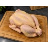 Poulet - 26,27 Novembre 2026